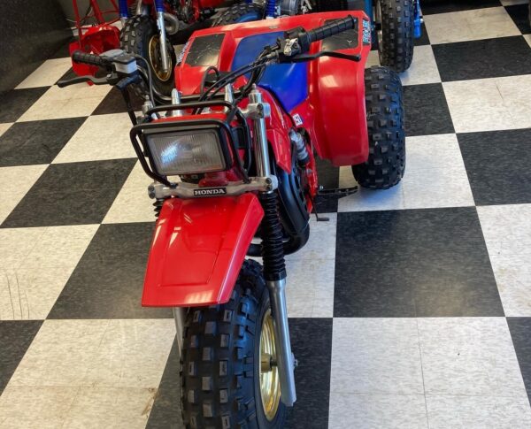 1983 HONDA ATC250R - Image 6