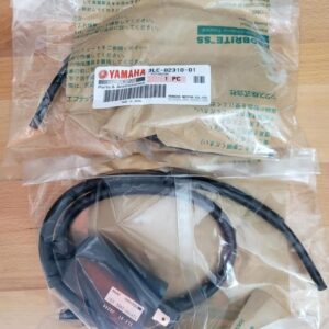 Yamaha banshee OEM coils