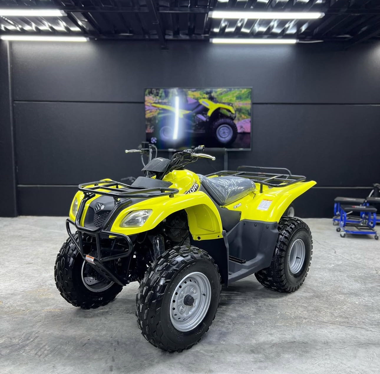 SUZUKI OZARK 250cc