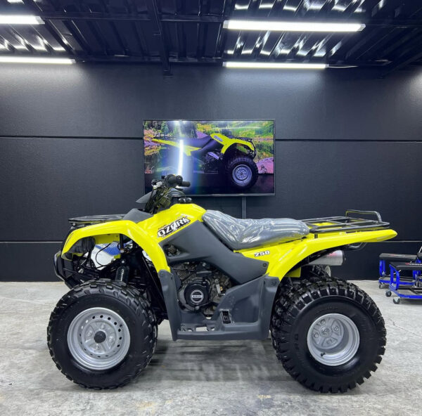 SUZUKI OZARK 250cc - Image 3