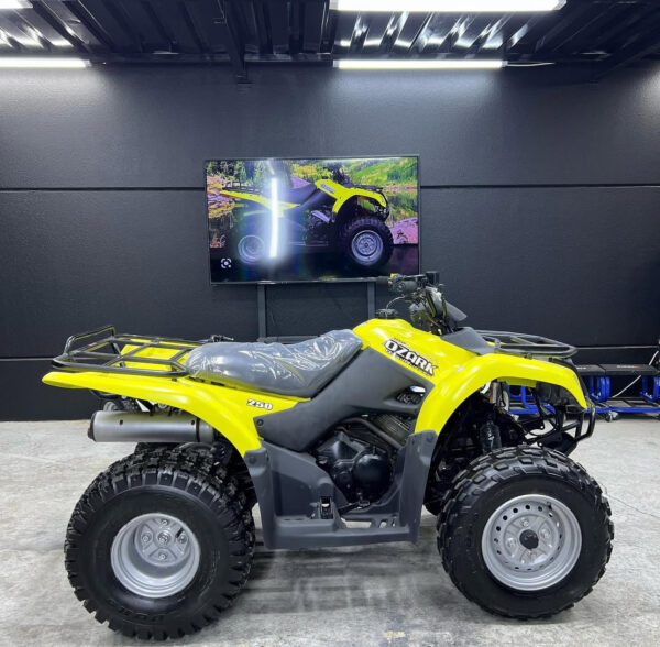SUZUKI OZARK 250cc - Image 5