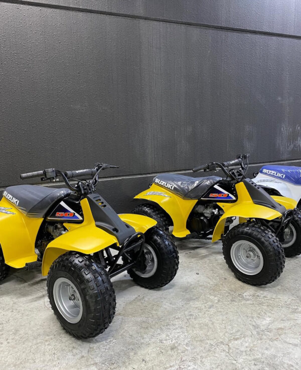 Suzuki Lt50 - Image 4