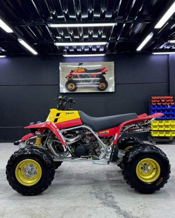 BANSHEE 350 - Image 9
