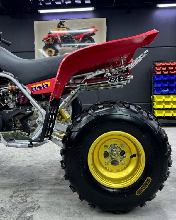 BANSHEE 350 - Image 3
