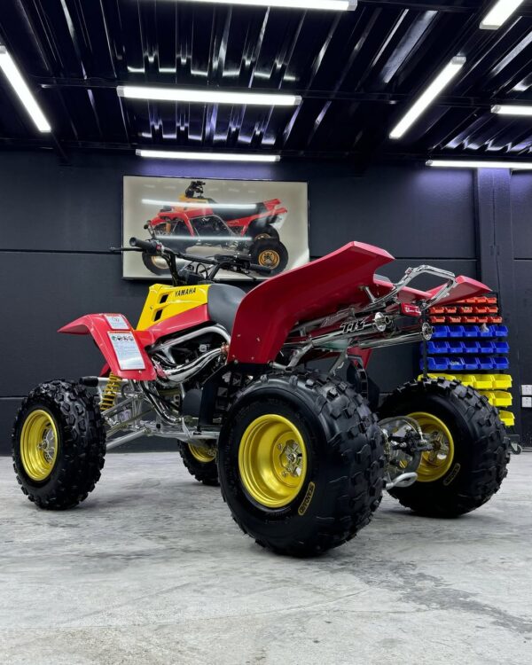BANSHEE 350 - Image 2