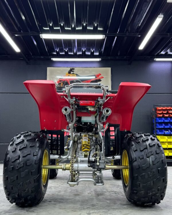 BANSHEE 350 - Image 8