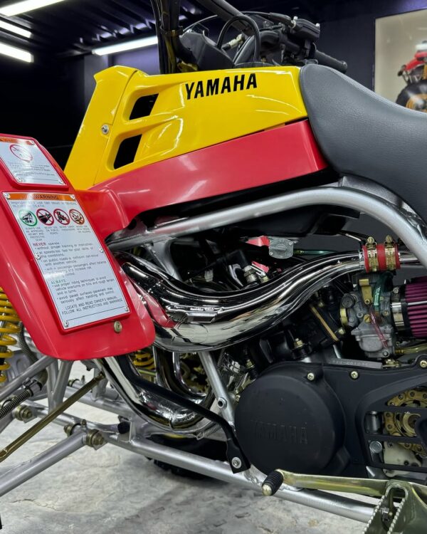 BANSHEE 350 - Image 7
