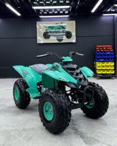 RAPTOR 80cc
