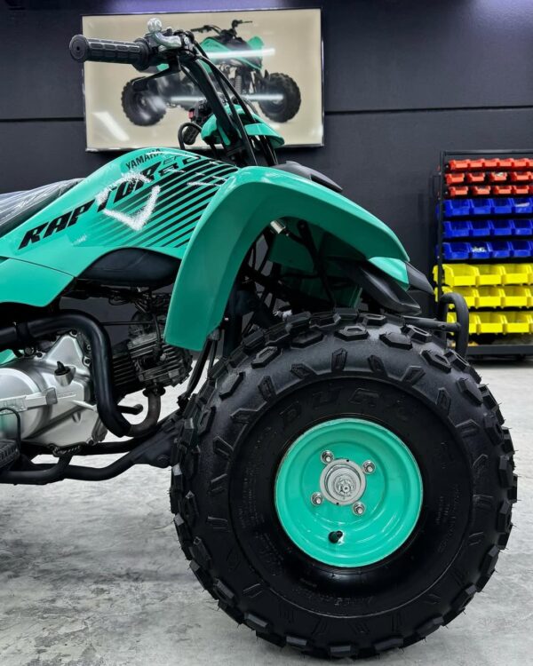 RAPTOR 80cc - Image 8