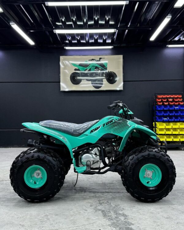 RAPTOR 80cc - Image 5