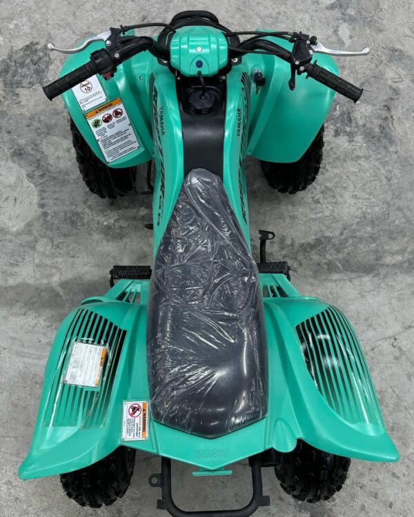 RAPTOR 80cc - Image 6