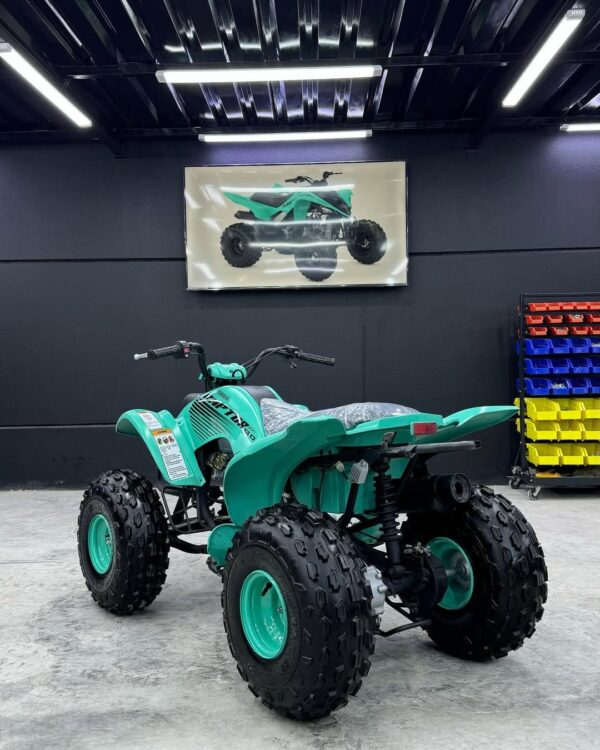 RAPTOR 80cc - Image 7