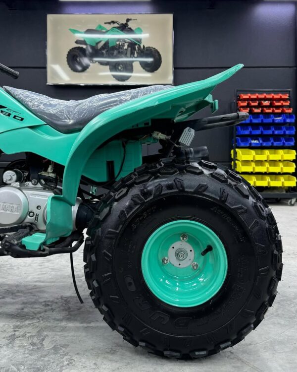 RAPTOR 80cc - Image 9