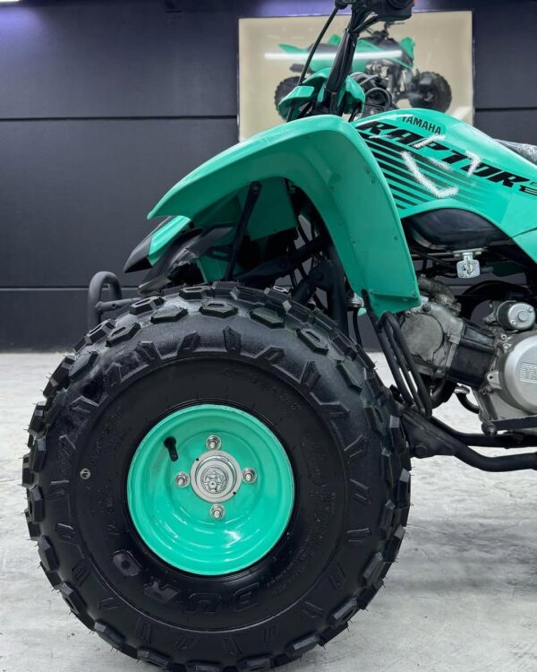 RAPTOR 80cc - Image 4