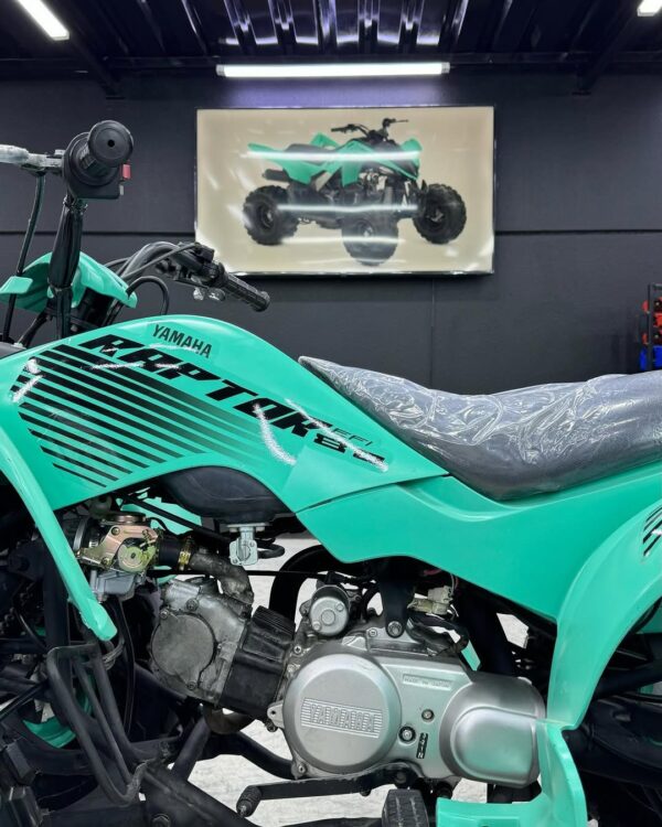 RAPTOR 80cc - Image 3