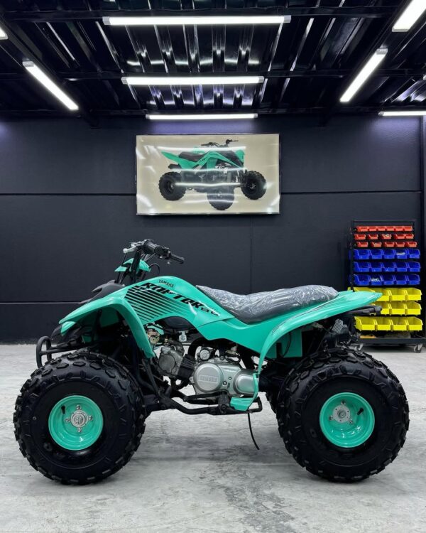 RAPTOR 80cc - Image 2