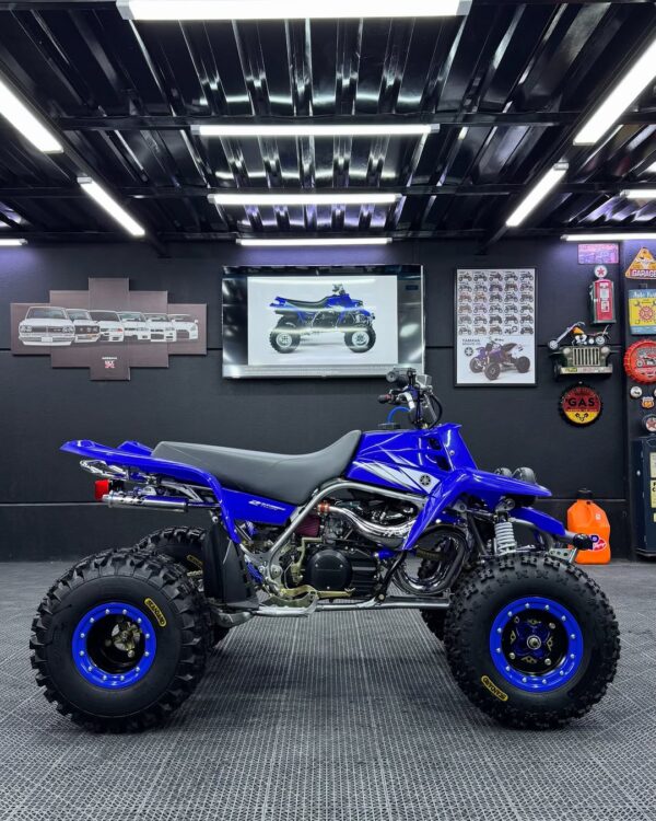 BANSHEE 350 - Image 11