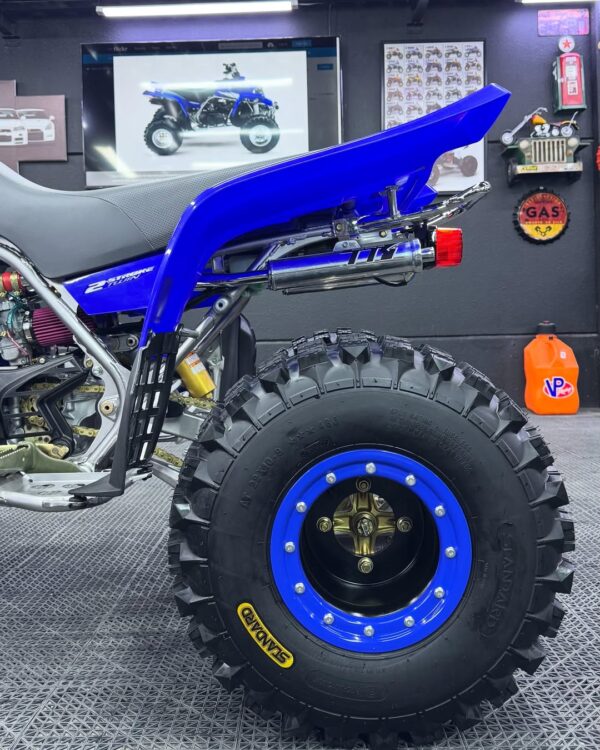 BANSHEE 350 - Image 10