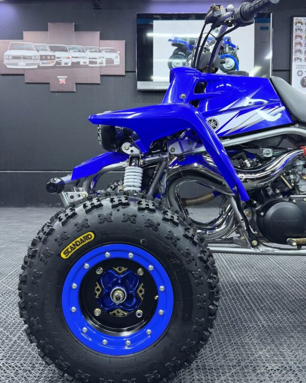 BANSHEE 350 - Image 9