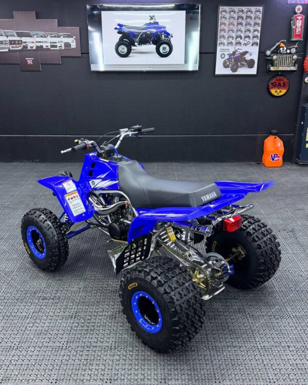 BANSHEE 350 - Image 12