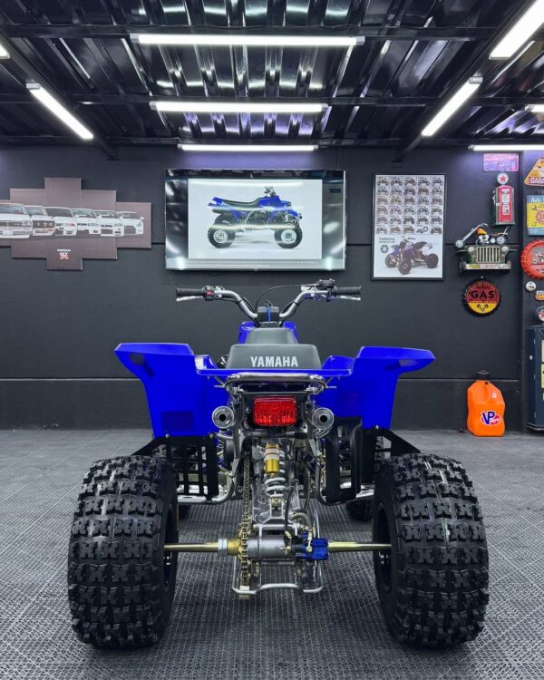BANSHEE 350 - Image 8