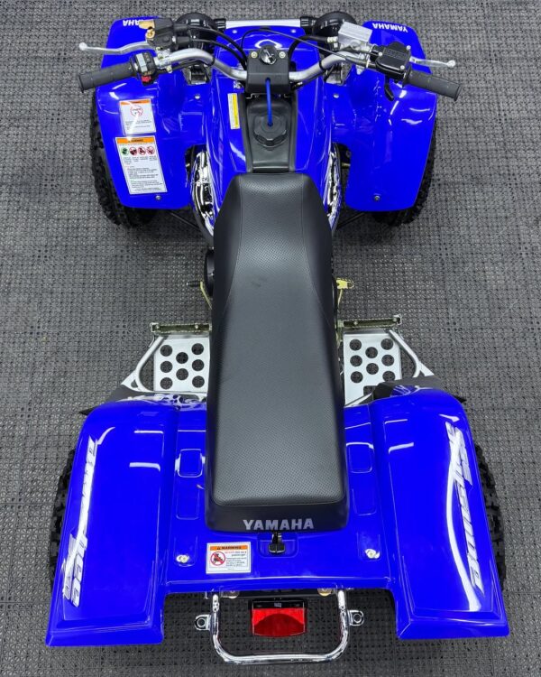 BANSHEE 350 - Image 13