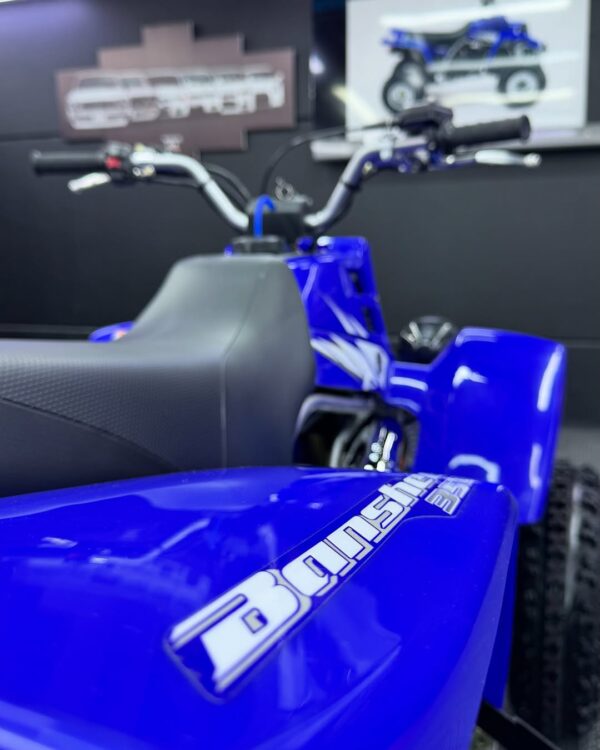 BANSHEE 350 - Image 7