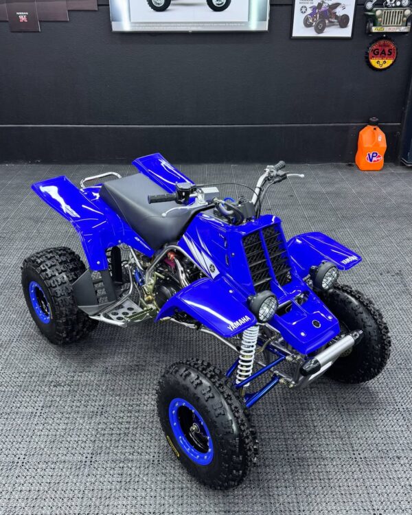 BANSHEE 350 - Image 5