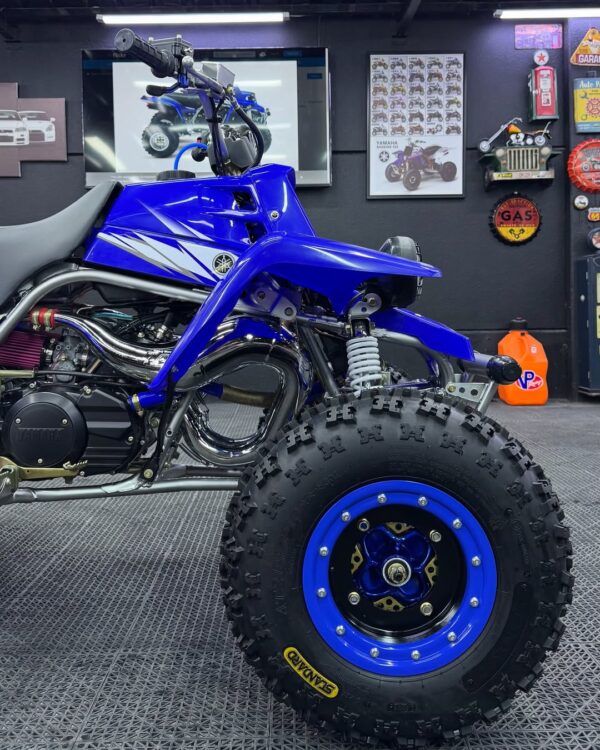BANSHEE 350 - Image 3