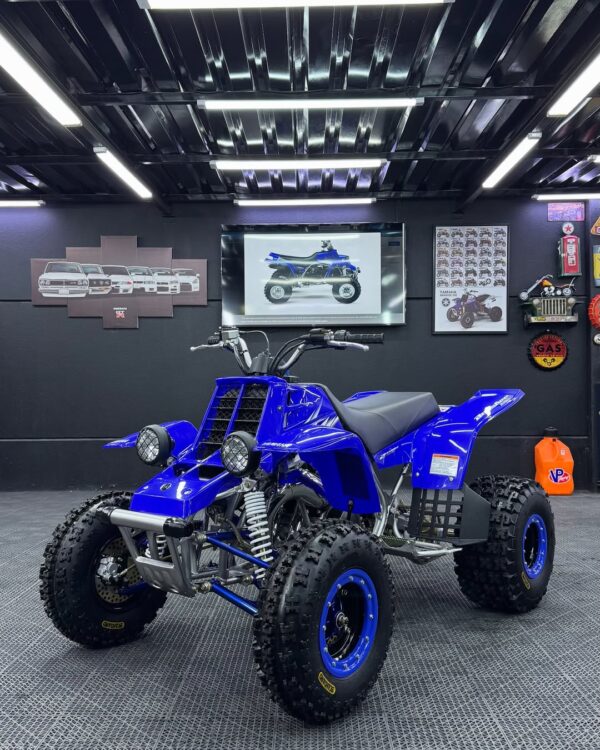 BANSHEE 350