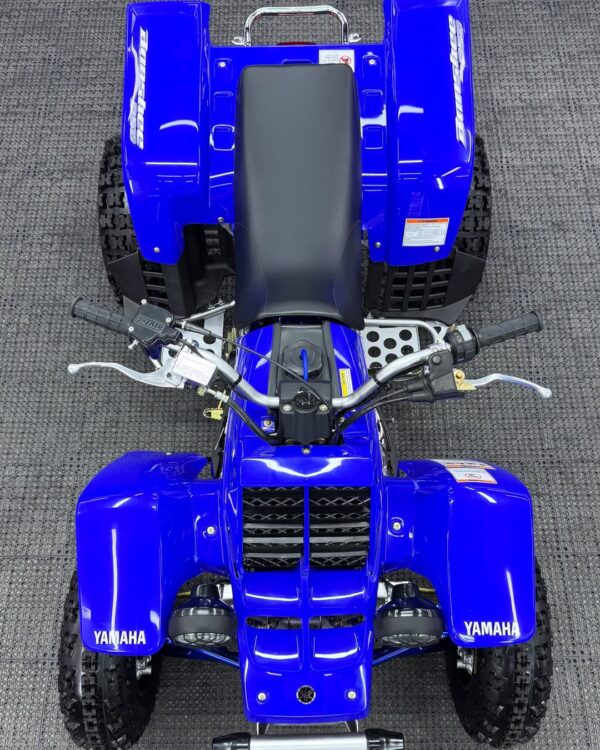 BANSHEE 350 - Image 6