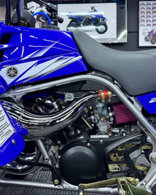 BANSHEE 350 - Image 4