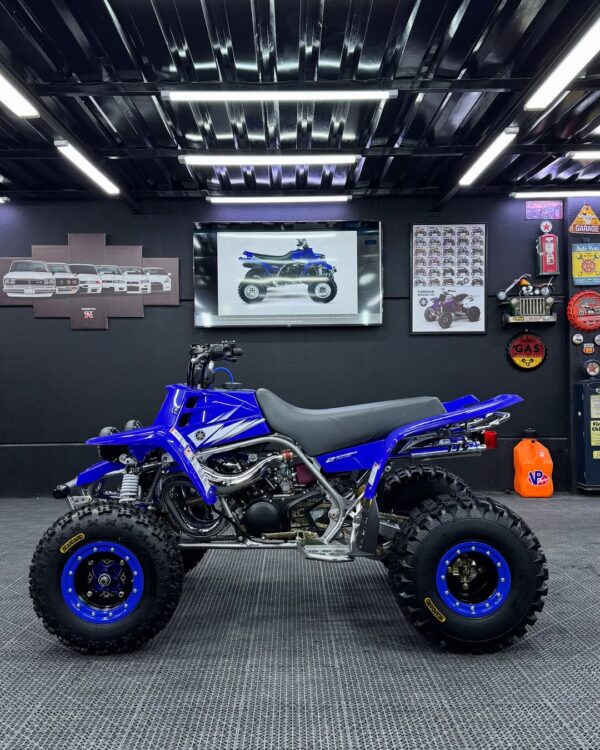 BANSHEE 350 - Image 2