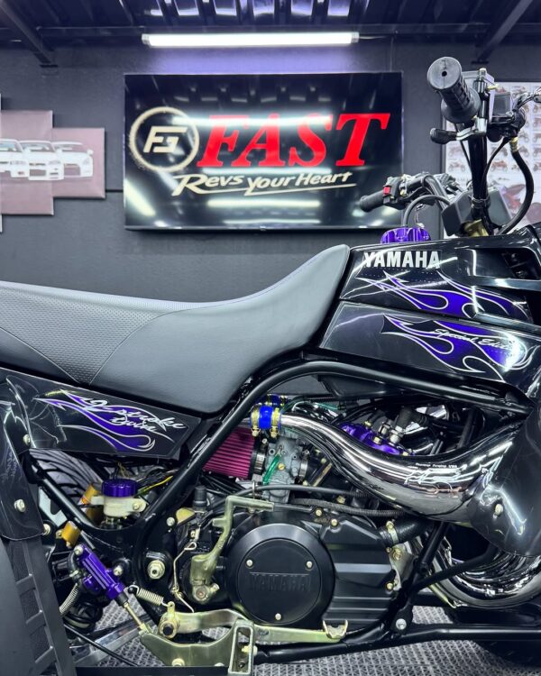 Banshee 350 - Image 11
