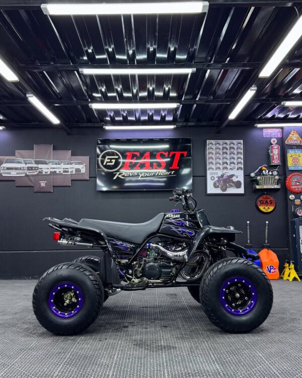 Banshee 350 - Image 7