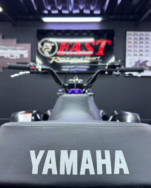 Banshee 350 - Image 9