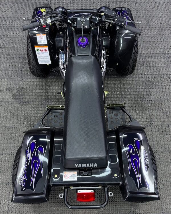 Banshee 350 - Image 10