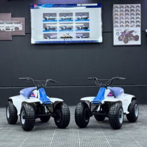 SUZUKI  LT50